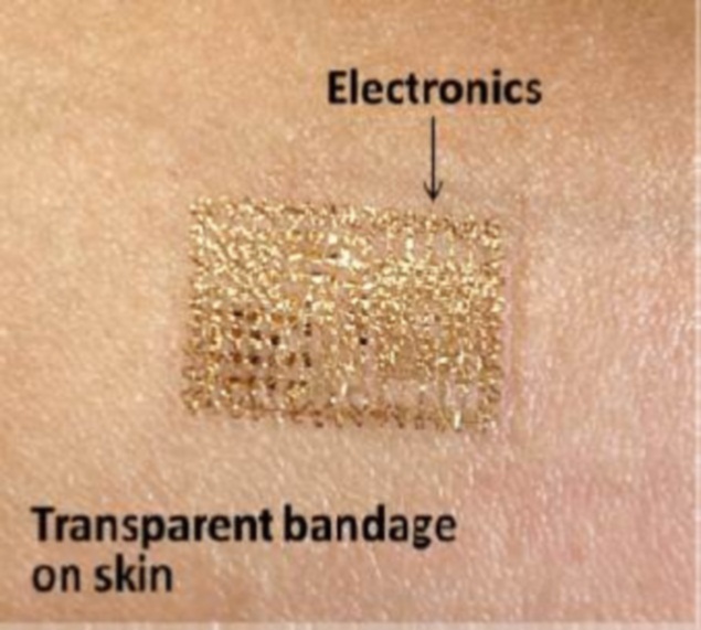'Electronic skin' developed to store information and deliver medicine