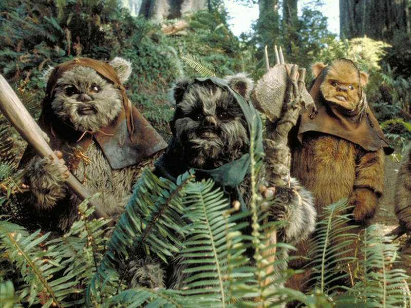 ewoks_star_wars.jpg