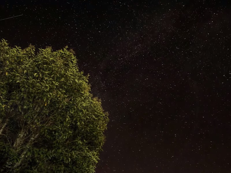 Why Haven't Aliens Contacted Us Yet? Scientists May Have the Answer