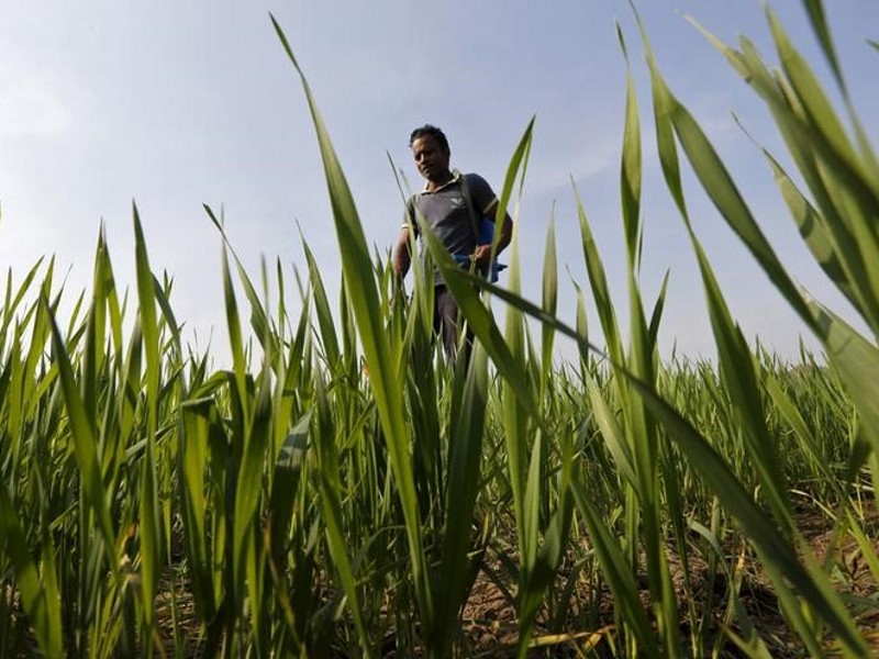 Digital Agriculture Market Platform to Launch in April, Says PM Modi
