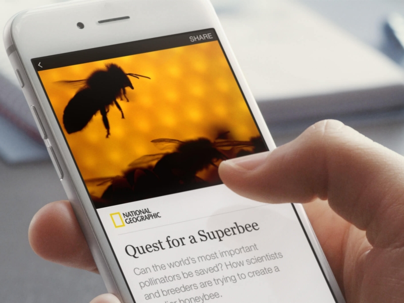 Facebook Instant Articles Launched for India