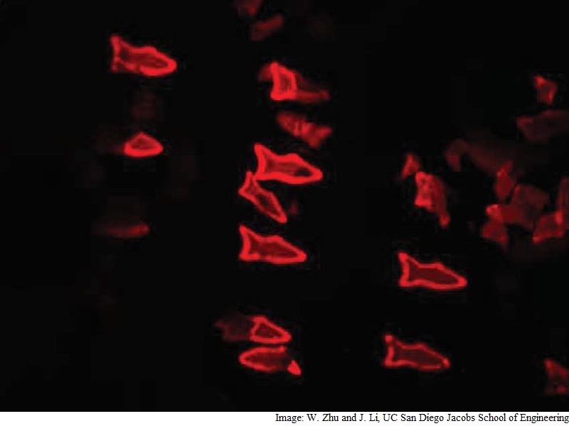 3D-Printed 'Microfish' Could Be Used for Human Drug Delivery