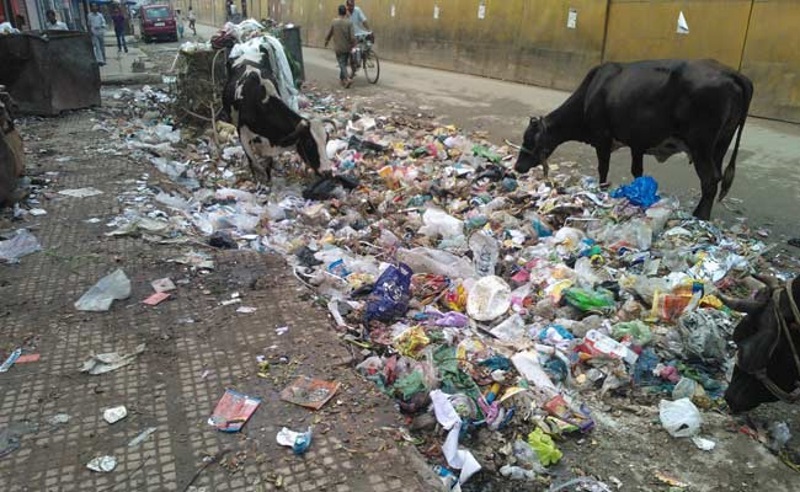Swachh Delhi App Fields Over 13,000 Complaints in Week Since Launch Swachh Delhi App Fields Over 13,000 Complaints in Week Since Launch