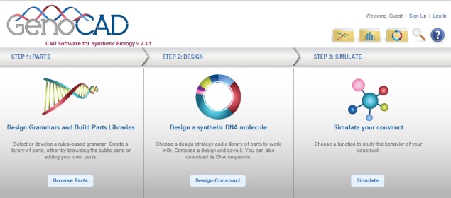 New 'GenoCAD' modelling helping design synthetic biological systems
