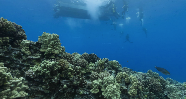 Google Street View goes underwater, offers virtual dives in coral reefs