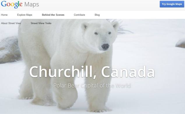 Google Maps adds polar bears as natural wonders, helps measure climate change