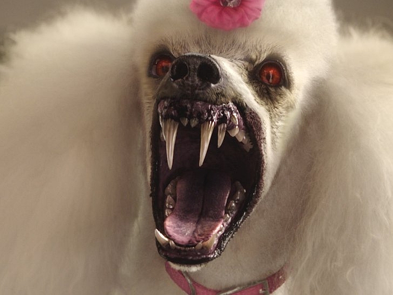 The Goosebumps Movie Is an Unexpected Treat