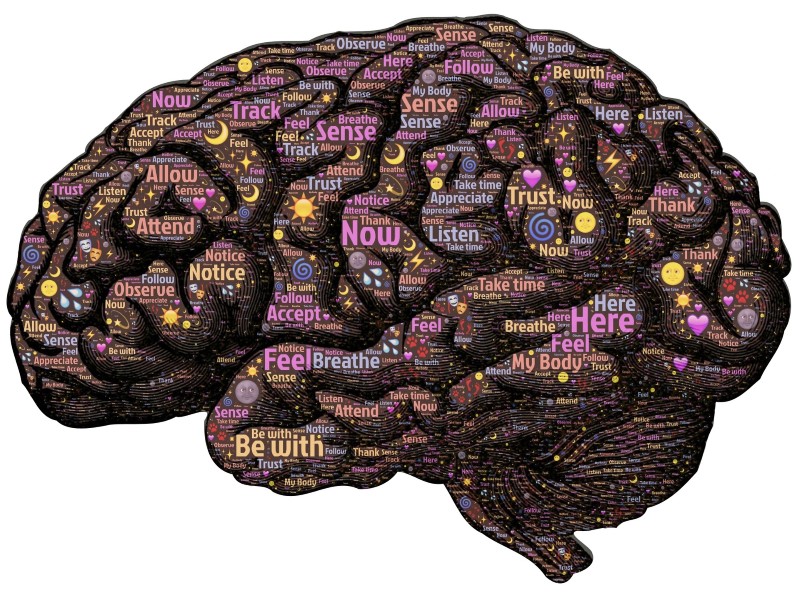 A Brand New 'Atlas' Shows Where Different Ideas Live in Our Brains