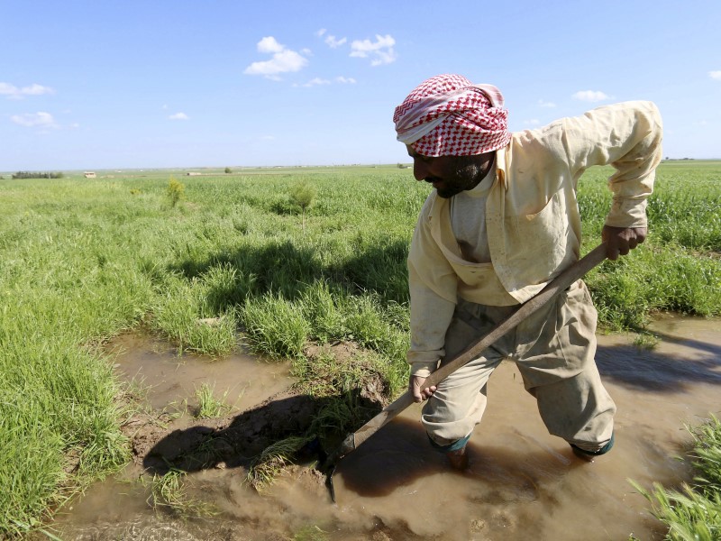 उत्तर प्रदेश में किसान कर्ज माफी से बैंकों को हो सकता है 27,420 करोड़ का नुकसान : स्टेट बैंक ऑफ इंडिया की रिपोर्ट