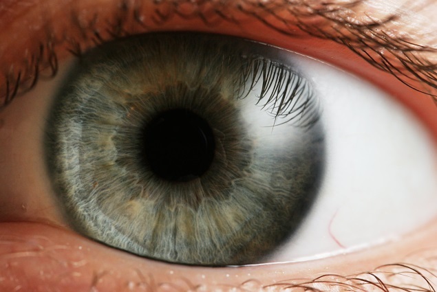 ViewSonic V55 Smartphone With Iris Scanner Could Launch at CES 2015