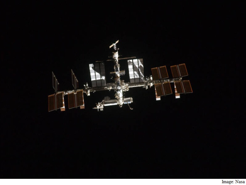 Researchers Sending Fungi to ISS With Aim to Develop New Drugs