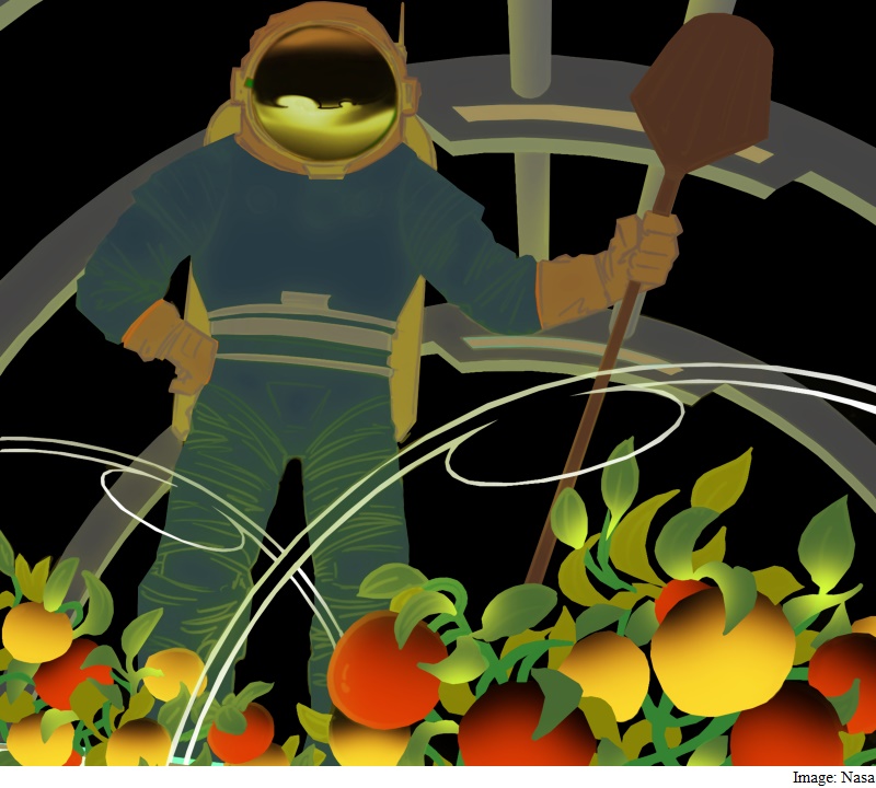 Teachers and Farmers: Nasa Has an Interesting Spot for You, on Mars