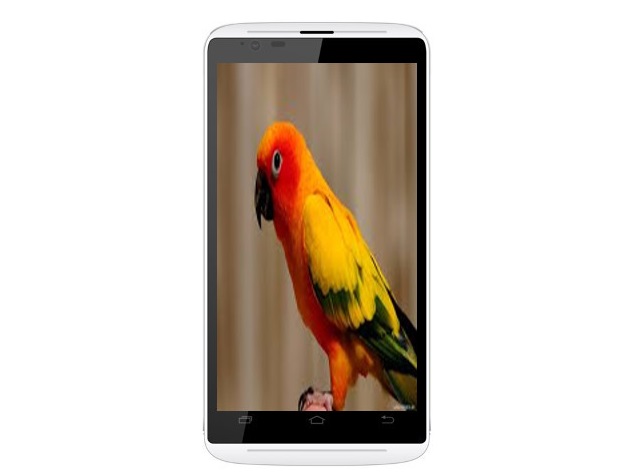 Karbonn Titanium S12 Delite With Android 4.4 Available Online at Rs. 4,469