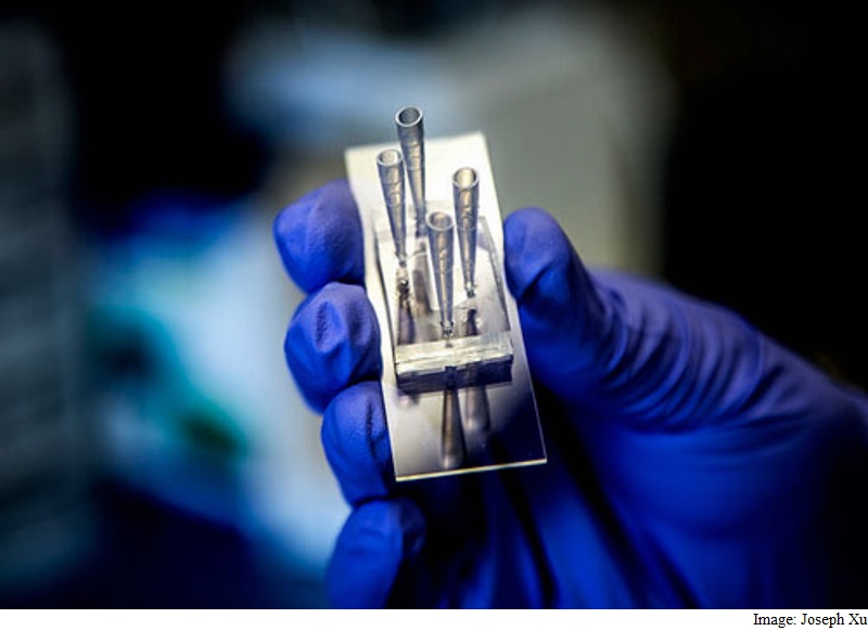 'Kidney on a Chip' Device Enables Safer Drug Dosing: Study