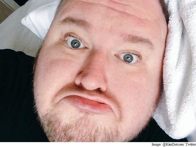 Kim Dotcom Calls US a 'Bully' as Court Hearing Wraps Up