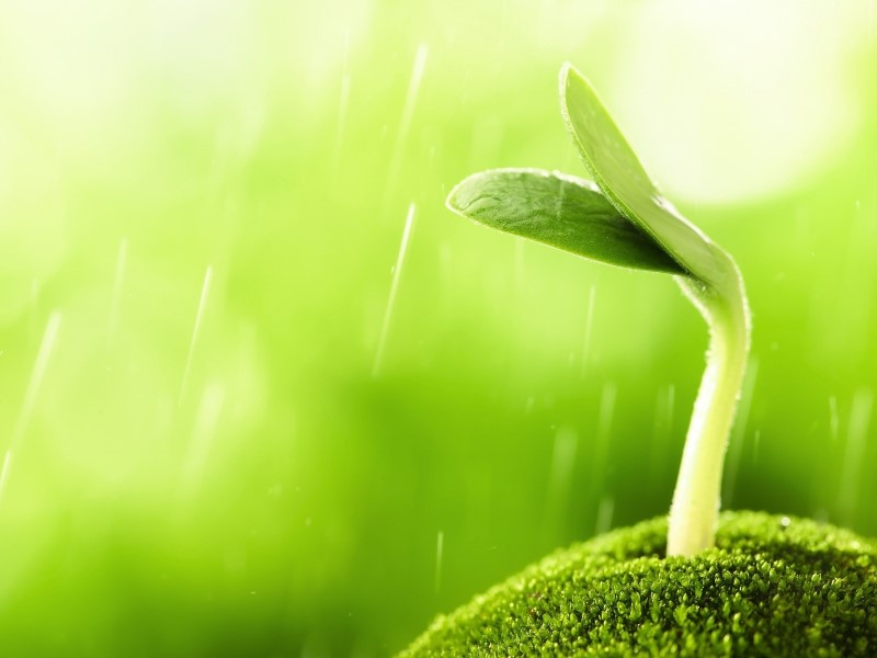 Comet Craters Helped Create Conditions for Life on Earth: Study