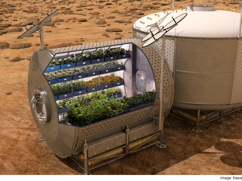 ISS Astronauts to Sample Leafy Greens Grown on Space Station