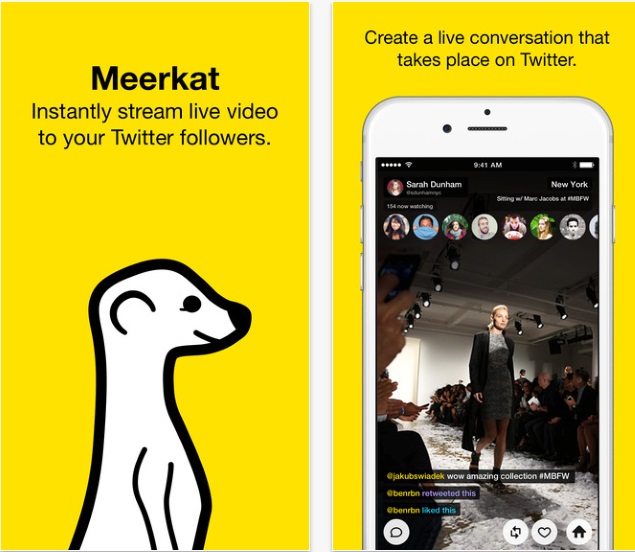 Meerkat Live Stream App is the New Twitter Sensation