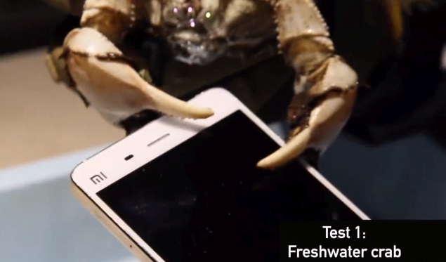 Xiaomi Mi 4 Goes Up Against Crabs, Lobsters in Unusual Toughness Test