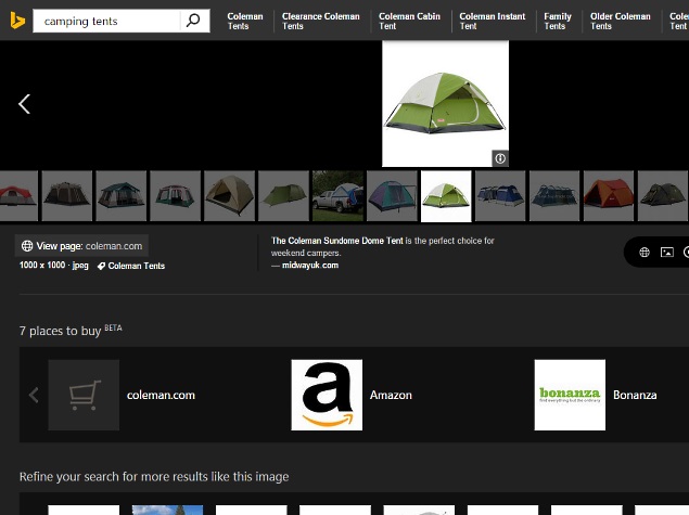 Microsoft Bing Image Search Revamped, Gets Buy Item Feature and More