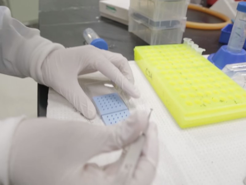 Novel Nanoparticles Could Help Stop Tumour Growth: Study Novel Nanoparticles Could Help Stop Tumour Growth: Study