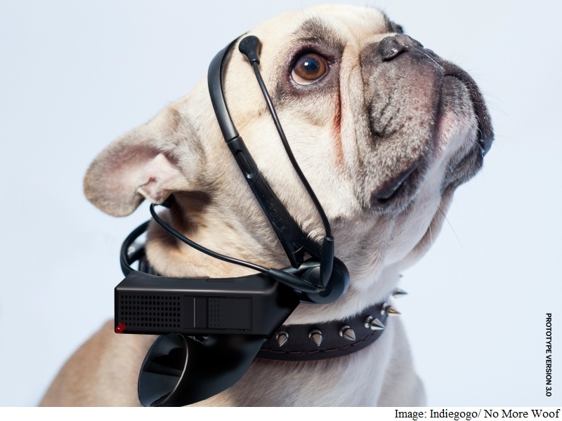 You're an Early Adopter of Tech, Your Pets Should Be Too