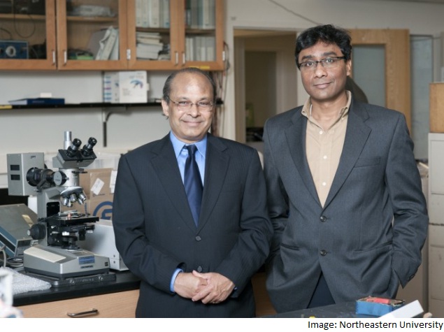 Scientists Develop New Super-Thin Lightweight Material