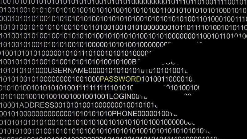 Two Convicted SpyEye Hackers Get Long US Prison Sentences Two Convicted SpyEye Hackers Get Long US Prison Sentences