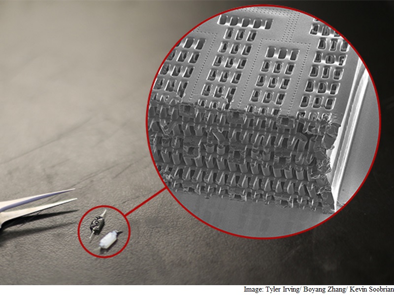 Person-on-a-Chip Tech May Help Repair Damaged Organs: Study