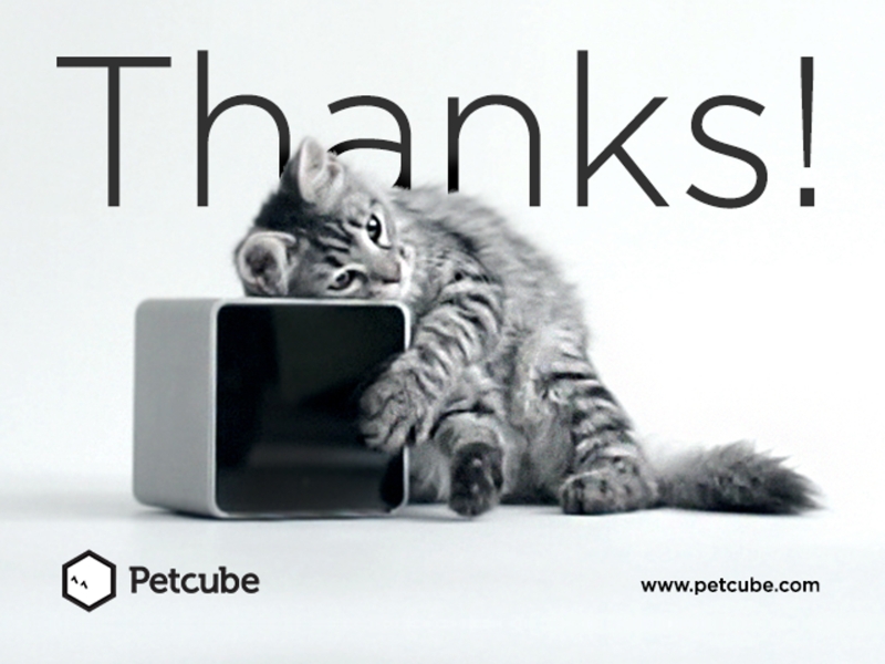 petcube.jpg