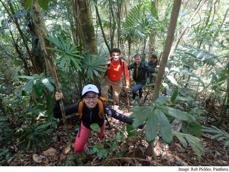 Artificial Intelligence to Help Curb Poaching: Study