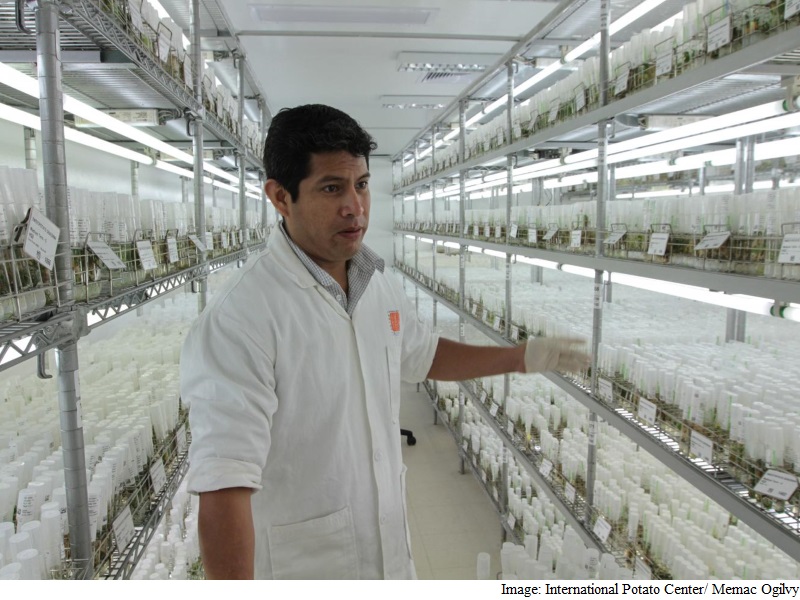 Scientists to Grow Potatoes Under Mars-Like Conditions on Earth