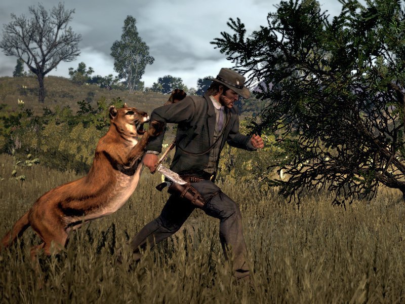 rdr_cougar.jpg