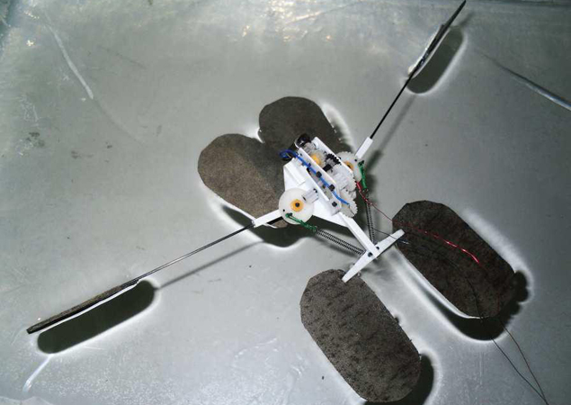 Soon, underwater robots to repair coral reefs