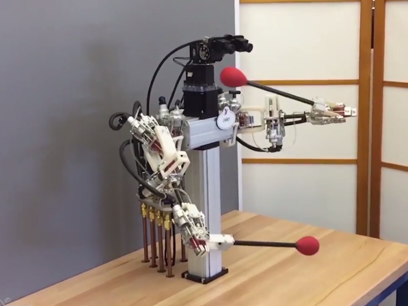 New Robot Features Human-Like Precision: Study
