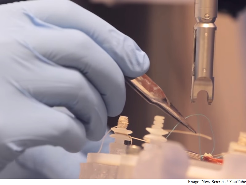 Robot Stitches Tissue by Itself, a Step to More Automated Operating Room