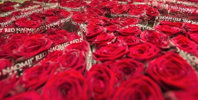 Alone with Valentine's Day? New apps may help