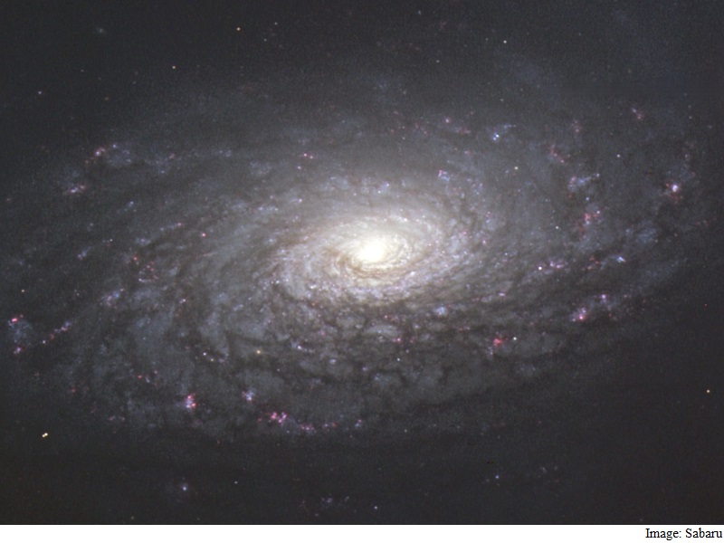 Galaxy Fossils Reveal The Formation Evolution Of Massive Galaxies