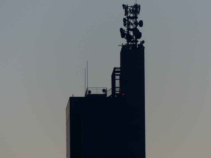 Cabinet Approves 3 Percent Spectrum Usage Charge for Upcoming Auction