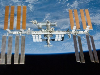 Researchers Sending Fungi to ISS With Aim to Develop New Drugs