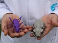 Australian scientists uses 3D printer to create super-sized bugs