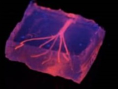 New Breakthrough Paves the Way for 3D-Printed Blood Vessels