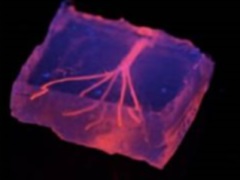 New Breakthrough Paves the Way for 3D-Printed Blood Vessels