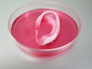 New 3D Printing Technique Can Produce Human Tissue, Organs