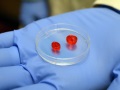 Scientists try 3D printer to build human heart