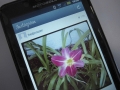Instagram sued over new terms of service
