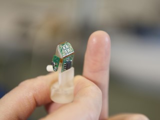 Bionic Finger Makes Amputee Feel Texture on Phantom Hand: Study