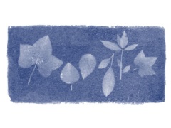 Anna Atkins' 216th Birthday Marked by a Google Doodle