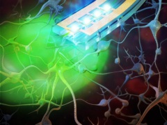 New Brain Implant Delivers Drugs via Remote Control