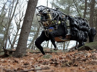 Google's Holding Company Alphabet Puts Boston Dynamics Up for Sale: Report